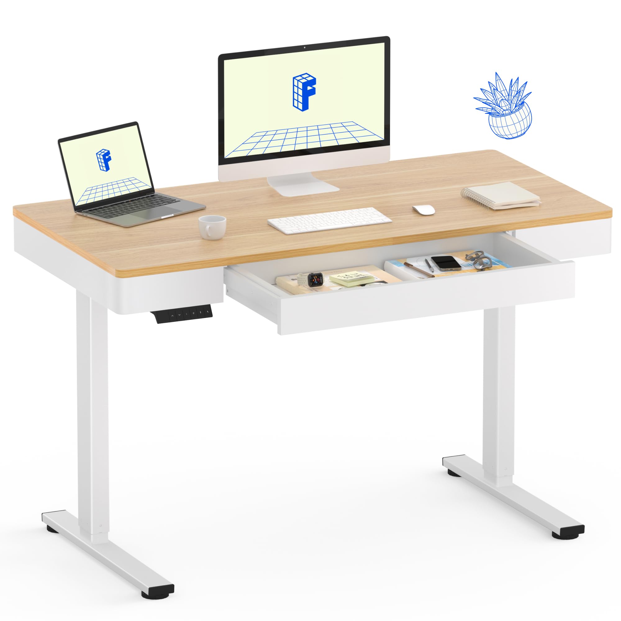 Amazon.com: FLEXISPOT Q5 Standing Desk with Drawer, 48 x 24 Inch
